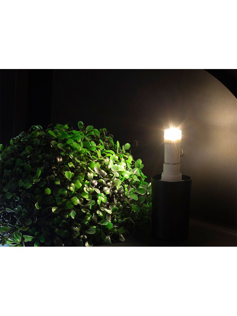 1717901-Lampada-Led-G9-25-3W-6500K-Taschibra---Amoedo