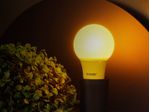 1985392-Lampada-Led-TKL-Colors-5W-Anti-Inseto-Amarela-Taschibra---Amoedo