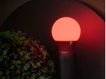 1985407-Lampada-Led-TKL-Colors-5W-Vermelha-Taschibra---Amoedo