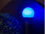 1985423 Lampada Led TKL Colors 5W Azul Taschibra - Amoedo -1-