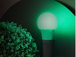 1985431 Lampada Led TKL Colors 5W Verde Taschibra - Amoedo