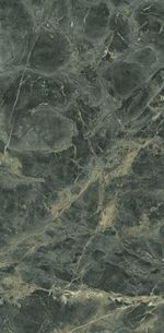 2394308-Porcelanato 60x120 Forest Reale Santin Acetinado Retificado Biancogres-AMOEDO
