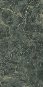 2394308-Porcelanato 60x120 Forest Reale Santin Acetinado Retificado Biancogres 4-AMOEDO